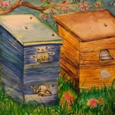 HIVES - watercolor-watermarked